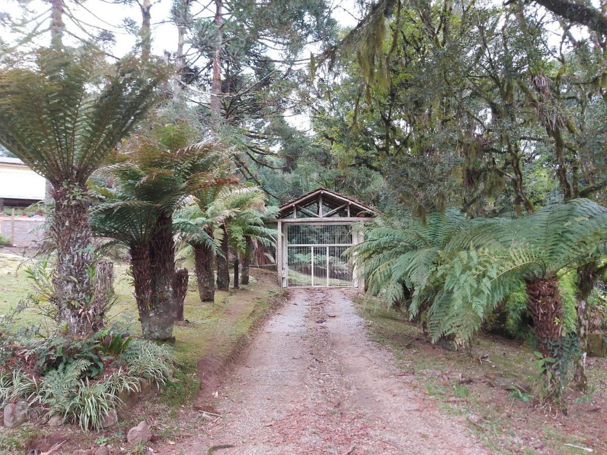 Ferienwohnung Sitio Dos Amigos Canela Exterior foto